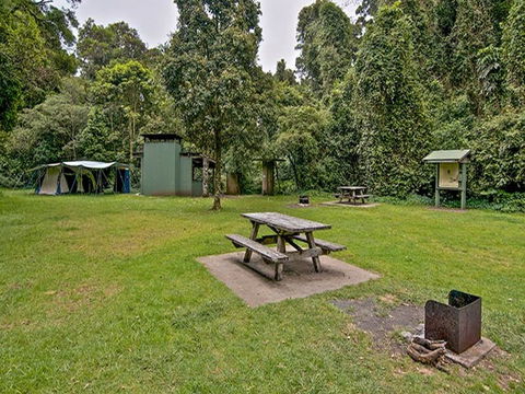 Forest Tops Campground - Coogee Beach Accommodation 0