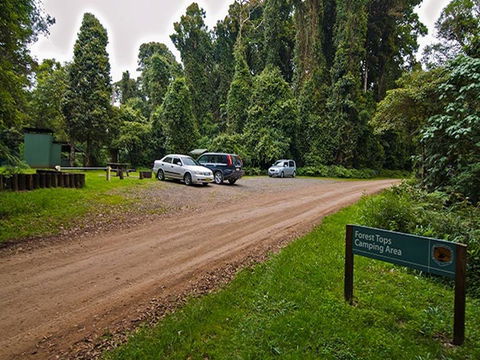 Forest Tops Campground - Coogee Beach Accommodation 1