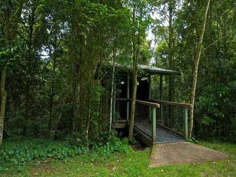 Forest Tops Campground - Coogee Beach Accommodation 2