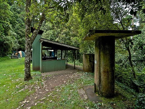 Forest Tops Campground - Coogee Beach Accommodation 3