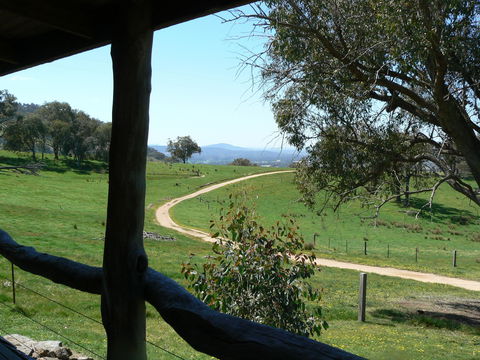 Gaddleen Grove Cottages - Coogee Beach Accommodation 1