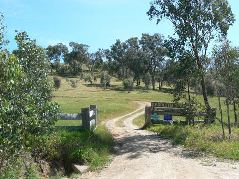 Gaddleen Grove Cottages - Coogee Beach Accommodation 3