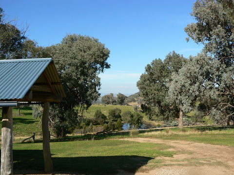 Gaddleen Grove Cottages - Coogee Beach Accommodation 4