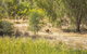 Girragirra Retreat - thumb 7