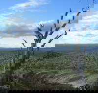 Goat Rock Camping Ground and Tourist Park - Coogee Beach Accommodation