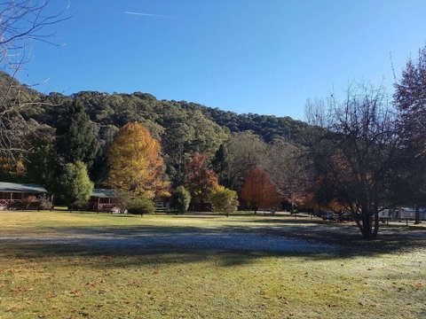 Harrietville Cabins And Caravan Park - Coogee Beach Accommodation 1