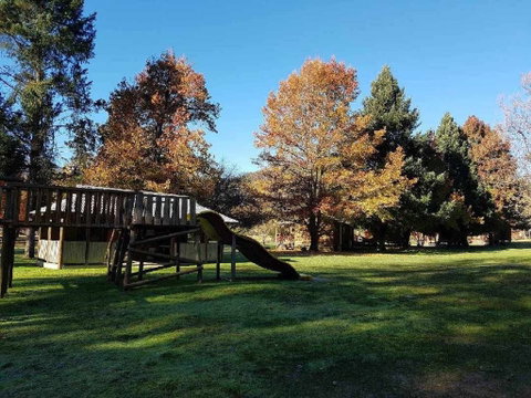 Harrietville Cabins And Caravan Park - Coogee Beach Accommodation 5