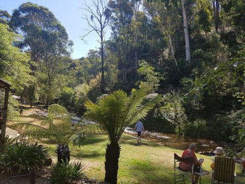 Harrietville Cabins And Caravan Park - Coogee Beach Accommodation 7