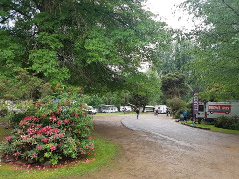 Harrietville Cabins And Caravan Park - Coogee Beach Accommodation 8