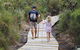 Kingfisher Bay Resort - thumb 7