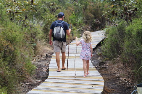 Kingfisher Bay Resort - Coogee Beach Accommodation 7
