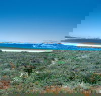 Lucky Bay Campground at Cape Le Grand National Park - Coogee Beach Accommodation
