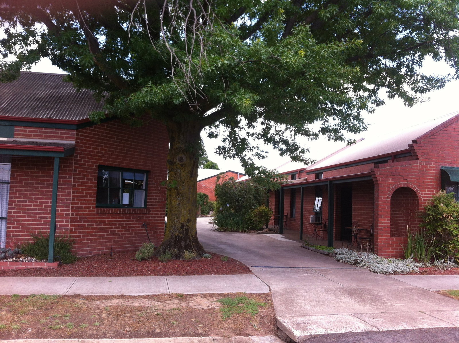 Mansfield VIC Coogee Beach Accommodation