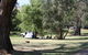 Molesworth Recreation Reserve And Caravan Park - thumb 0