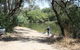 Molesworth Recreation Reserve And Caravan Park - thumb 6