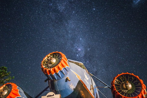 O'Reilly's Rainforest Retreat - Coogee Beach Accommodation 4