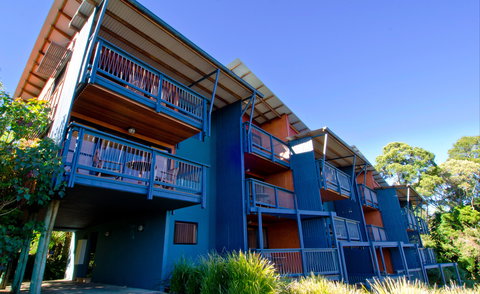 O'Reilly's Rainforest Retreat - Coogee Beach Accommodation 7