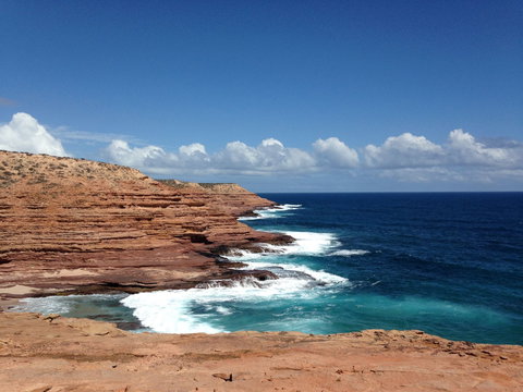 Pelican's Nest - Coogee Beach Accommodation 2