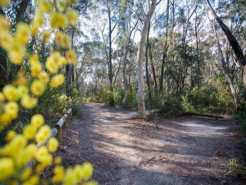 Perrys Lookdown Campground - Coogee Beach Accommodation 0