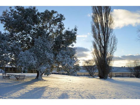 Snowy Mountains Resort - Coogee Beach Accommodation 0