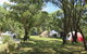 Thredbo Diggings Campground - thumb 2
