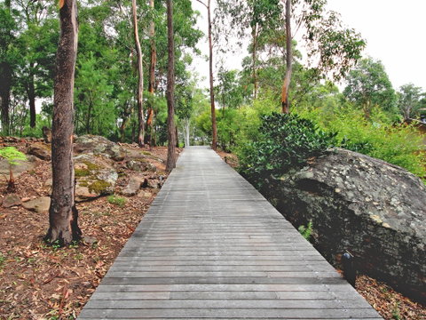 Wild Edge Retreat - Coogee Beach Accommodation 2