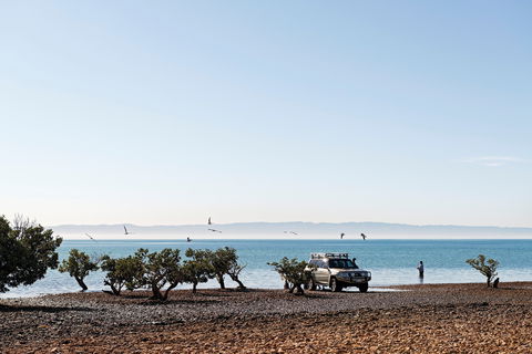 Camping At Point Lowly & Fitzgerald Bay - Coogee Beach Accommodation 0