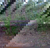 Charlies Flat Campground at Lane Poole Reserve - Coogee Beach Accommodation