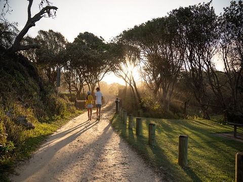 Diamond Head Campground - Coogee Beach Accommodation 1