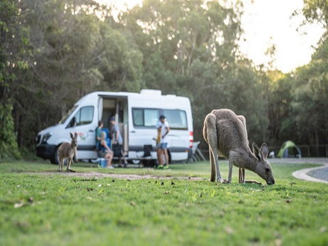 Diamond Head Campground - Coogee Beach Accommodation 3