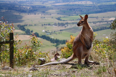 Eaglereach Wilderness Resort - Coogee Beach Accommodation 0