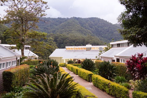 Eden Health Retreat - Coogee Beach Accommodation 0