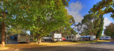 Eureka Stockade Holiday Park - Coogee Beach Accommodation 7