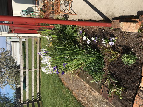 Fairview Bed And Breakfast Cottage - Coogee Beach Accommodation 2