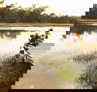 Farm on Franklin Campground - Coogee Beach Accommodation