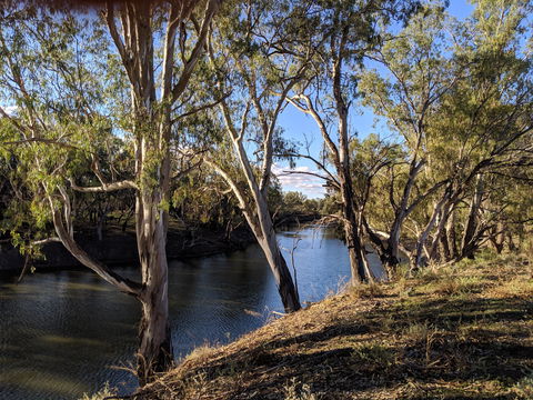 Four Mile Camping Reserve - Coogee Beach Accommodation 2