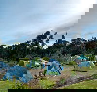 Freemans campground - Coogee Beach Accommodation