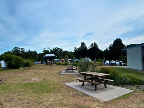 Freemans Campground - Coogee Beach Accommodation 2
