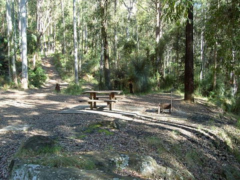 Gap Creek Campground - Coogee Beach Accommodation 1