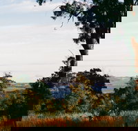 Hilltop Barn at Swan Bay - Coogee Beach Accommodation