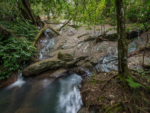 Jacky Barkers Campground - Coogee Beach Accommodation 3