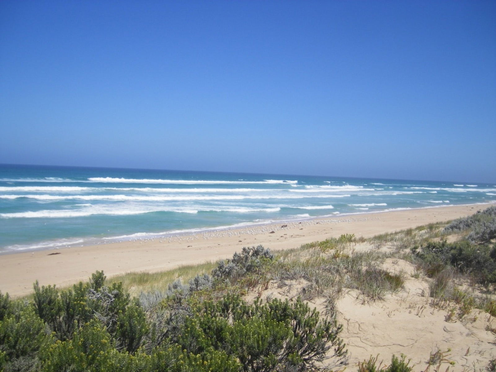Canunda SA Coogee Beach Accommodation
