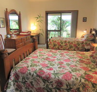 Peaceful Palms Bed and Breakfast - Coogee Beach Accommodation