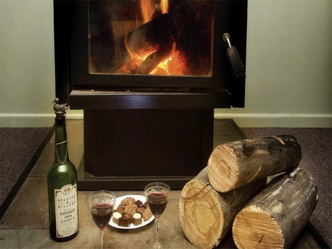 Robinsons Cabin - Coogee Beach Accommodation 1
