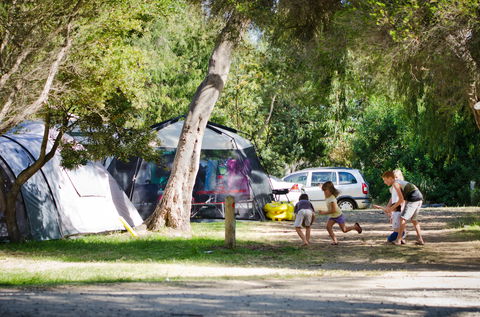 Rosebud Foreshore Camping - Coogee Beach Accommodation 2