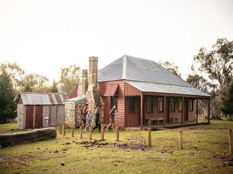 The Pines Cottage - Coogee Beach Accommodation 0