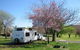 Wellington Caves Caravan Park - thumb 0