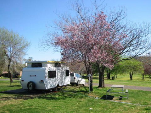 Wellington Caves Caravan Park - Coogee Beach Accommodation 0