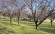 Wellington Caves Caravan Park - thumb 1