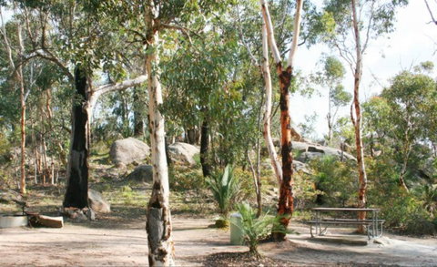 Bald Hill  Camp At Avon Valley National Park - Coogee Beach Accommodation 0